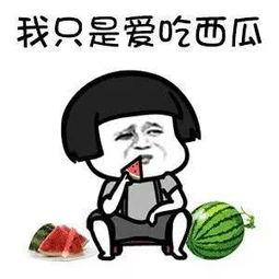 娱乐圈的吃瓜用语,揭秘明星们的“瓜田”秘闻