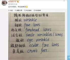 聊天娱乐界英语,Entertainment English: A Glimpse into the World of Chatting and Fun