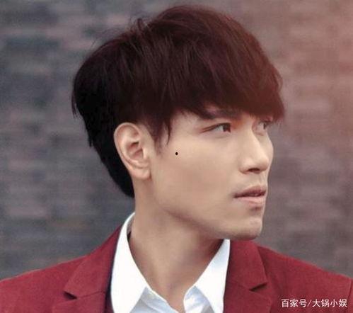 杨宗纬女明星,音乐与影视的完美融合